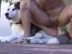 Hot amateur wife screwed by cute dog